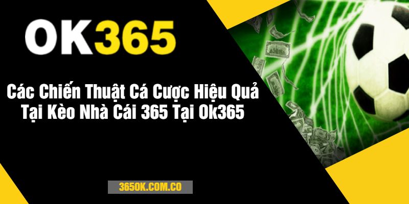 Các Chiến Thuật Cá Cược Hiệu Quả Tại Kèo Nhà Cái 365 Tại Ok365