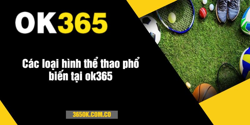 Các loại hình thể thao phổ biến tại ok365