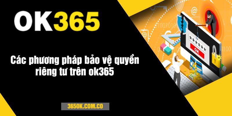 Các phương pháp bảo vệ quyền riêng tư trên ok365