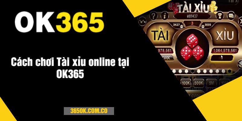 Cách chơi Tài xỉu online tại OK365