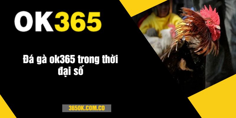 Đá gà ok365 trong thời đại số