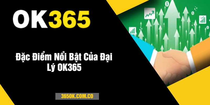 Đặc Điểm Nổi Bật Của Đại Lý OK365