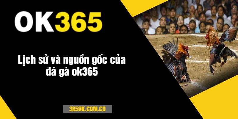 Lịch sử và nguồn gốc của đá gà ok365