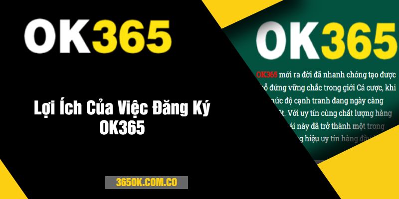 Lợi Ích Của Việc Đăng Ký OK365