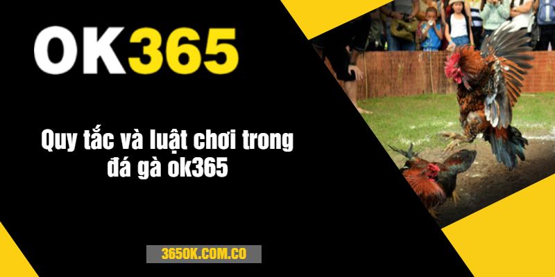 Quy tắc và luật chơi trong đá gà ok365