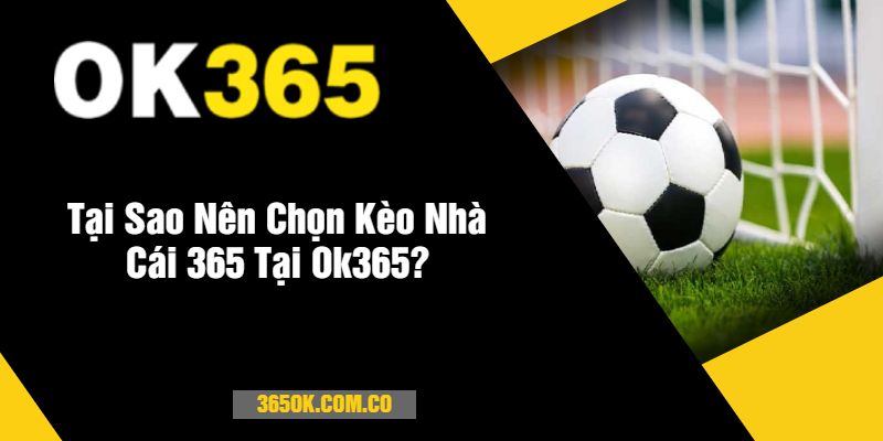 Tại Sao Nên Chọn Kèo Nhà Cái 365 Tại Ok365?