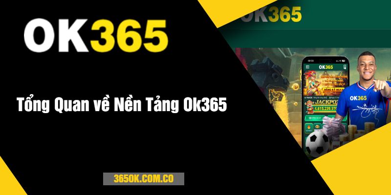 Tổng Quan về Nền Tảng Ok365