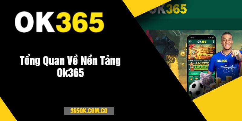 Tổng Quan Về Nền Tảng Ok365