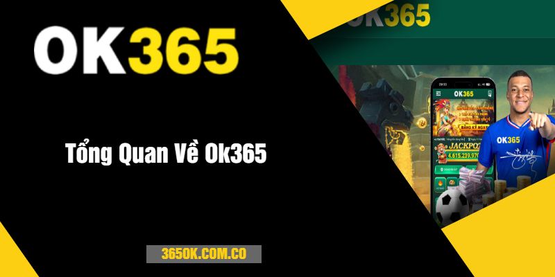 Tổng Quan Về Ok365