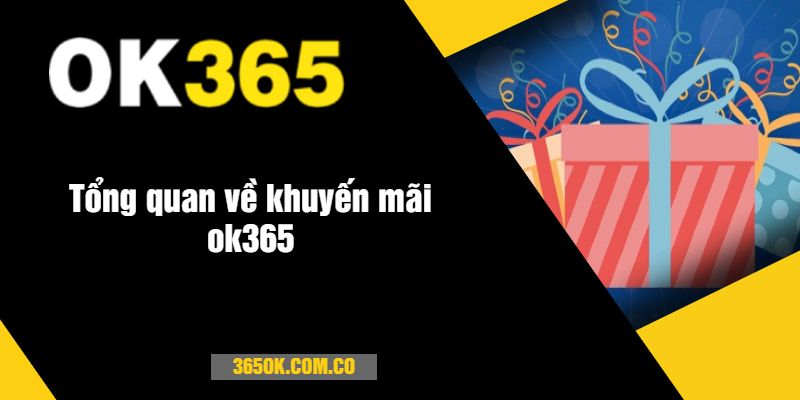 Tổng quan về khuyến mãi ok365